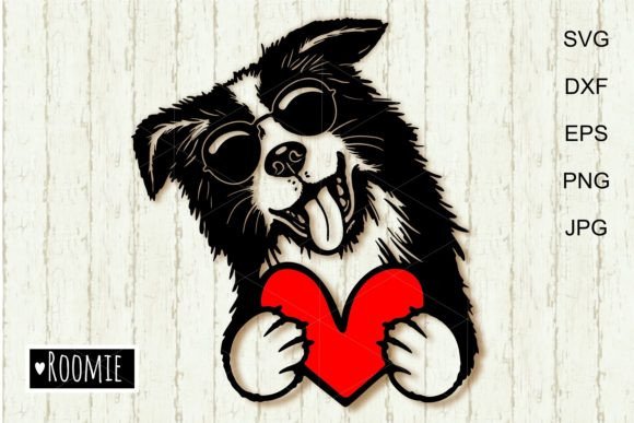 Cute Border Collie with Valentine Heart Review