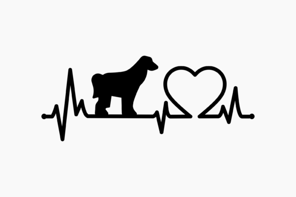 Dog Afghan Hound Heartbeat: A Designer’s Project Review